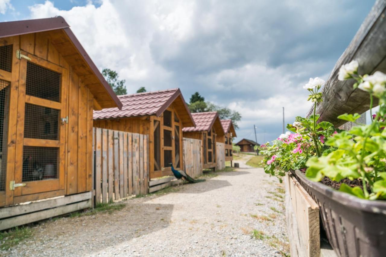 Salas Syrex Zázrivá Buitenkant foto